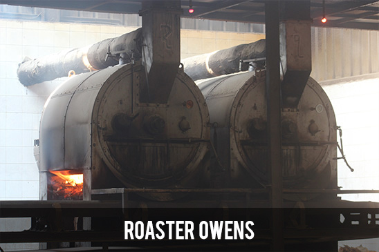 Roaster Owens